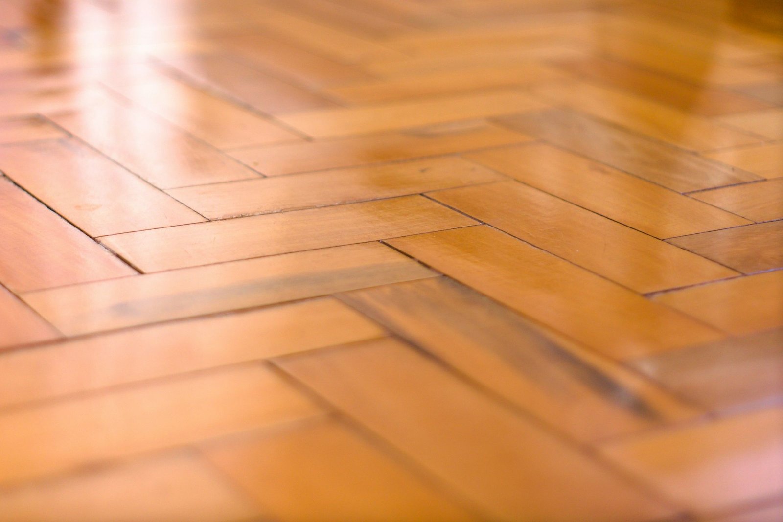 Parquet en bâton rompu fraîchement vitrifié